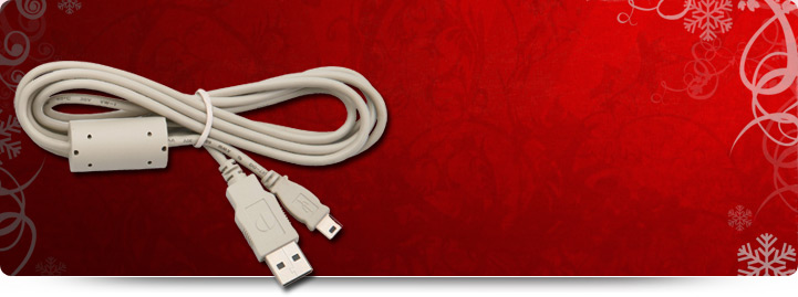 Can-West Ghana USB  A Male to A Male